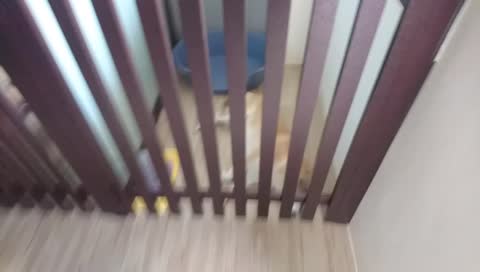 把妹阿關狗籠