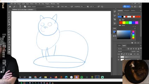 Cat tutorial step 2