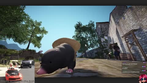 BDO mole pet