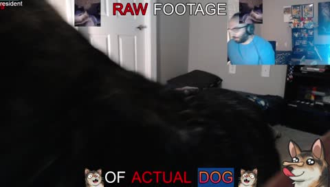 Treatboarding
