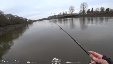 Fisch! 46er Barsch - Wizzy