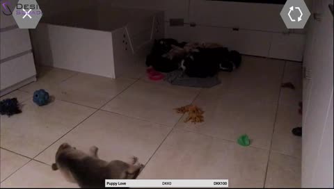 Støtter en bror i en dårlig drøm