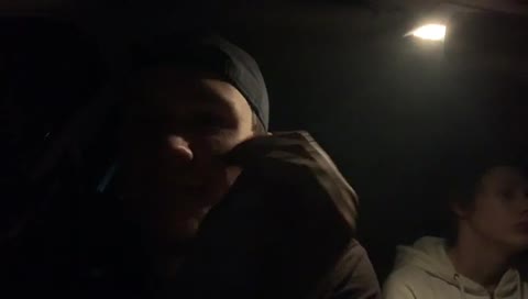 Kör över en grävling