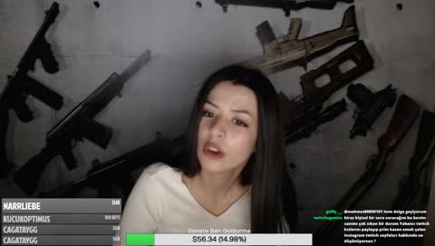 ehliyet