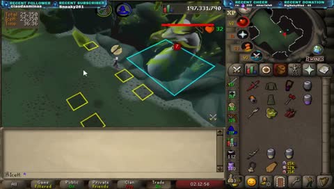 2 PETS ONE DAY?