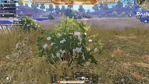 Viselkedés az  megvan