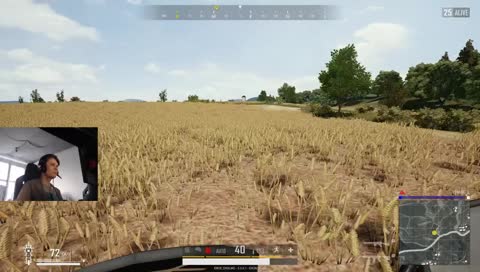 DE_stroyed
