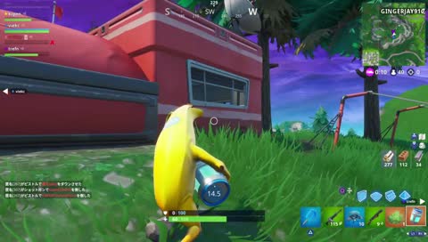 世話のやけるいたずらっこ達🤣