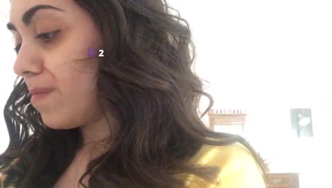 richiamo per gabbiani