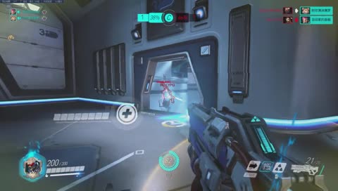 您的烏龜外送到了