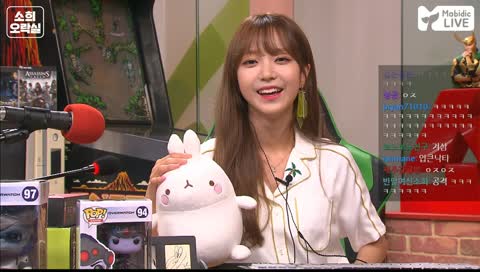 룩삼이 닮은 연예인