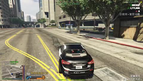 台妹才會養吉娃娃