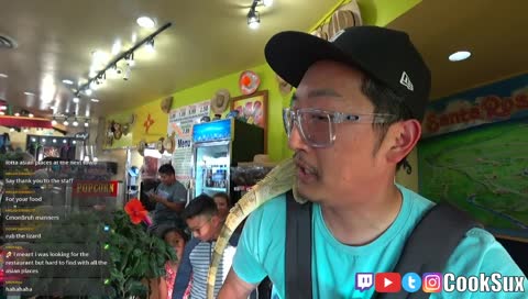 Iguana rides Route 66 streamer in New Mexico