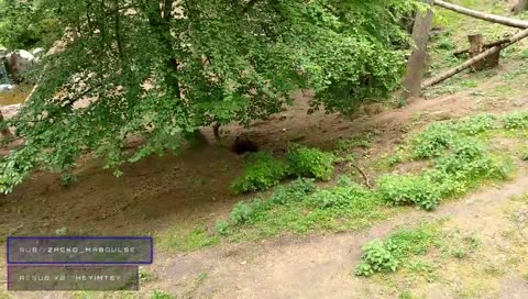 Джус, жрать будешь?