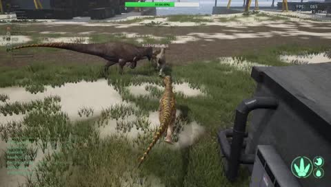 The mating dance between an allo and raptors