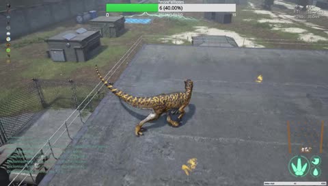 surprise!