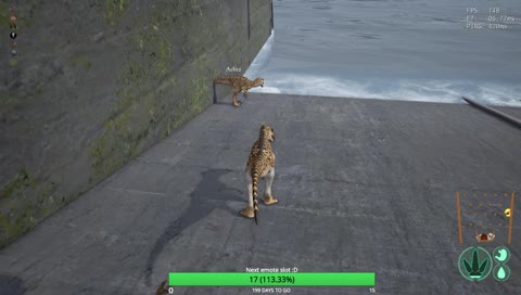 It was at this moment Latte knew he f*cked up