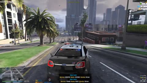 Perspectiva Caledonia