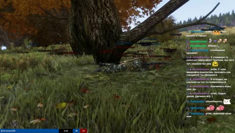 гонзо-гонзо