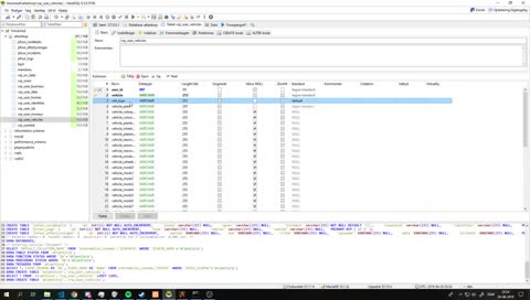 pls udvikle på min server