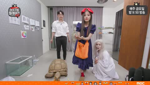 아기 거북이 보여주는 송하영