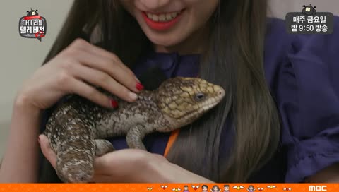 동물을 좋아하는 송하영 뽀뽀까지