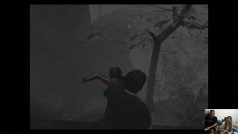 怕