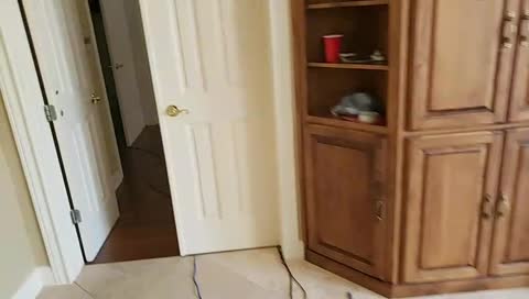 WTF