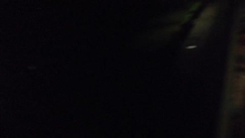 róka - erzsébet tábor zánka 2019 :))) háti háti háti hoooo