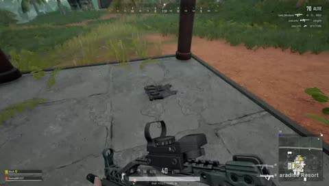 LALELAKEALEKAELAEAKEAL SUT