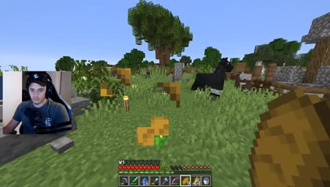 Нова Механика