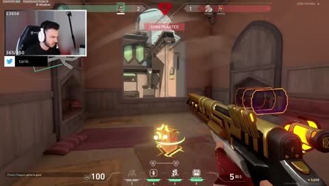 SHEEEEEEEEEEEEEEEEEEEEEEEESH