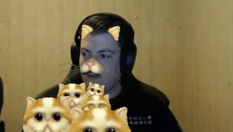Kongfue and his kittes