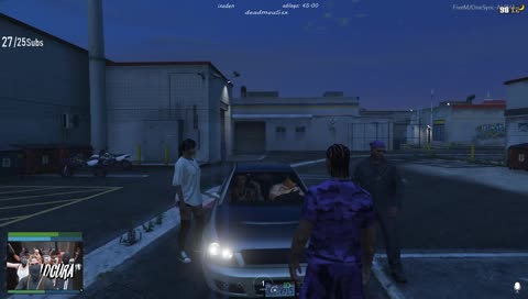 CERDO LE CHASSEUR DE PIGEON !