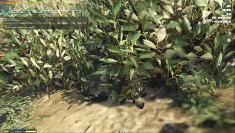 Clip kill vasco montaña policia