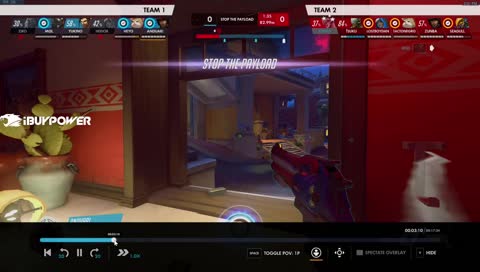 seagull dodges a deadeye 