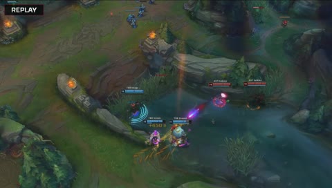 WTF Tahm?