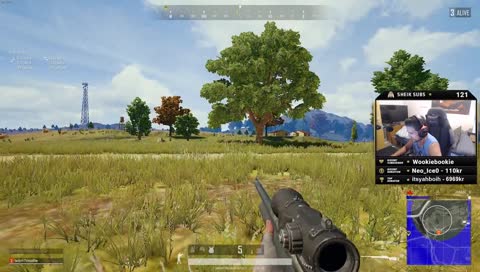 dat chicken