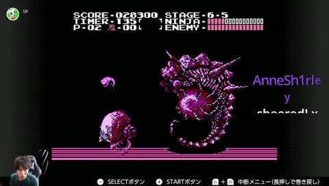 momochi vs ninja gaiden