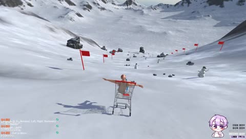 날아오르라 주작이여 브금버프 ㅋㅋㅋㅋㅋㅋㅋㅋㅋㅋㅋㅋ