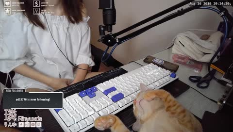吸奶(?)踏踏