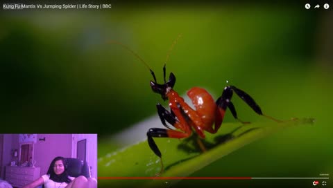 so cute widepeepoHappy  