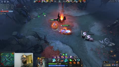 ANAN AMK KEDİSİ ANAN asDAS:D