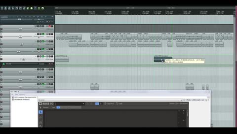 camellia bruh moment