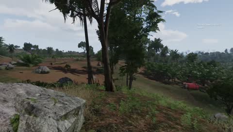 Loopy not getting the D.