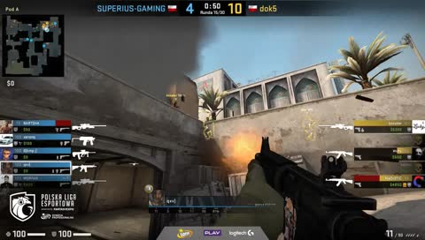 ace ple