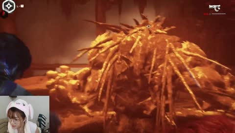 NOVA kawaiiiiiiiiiiii