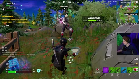 is a fish an animal?