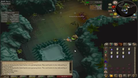 Hej jeg hedder bjarke og er en jordbær hjelm