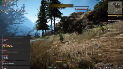 Здравствуй ты в осах